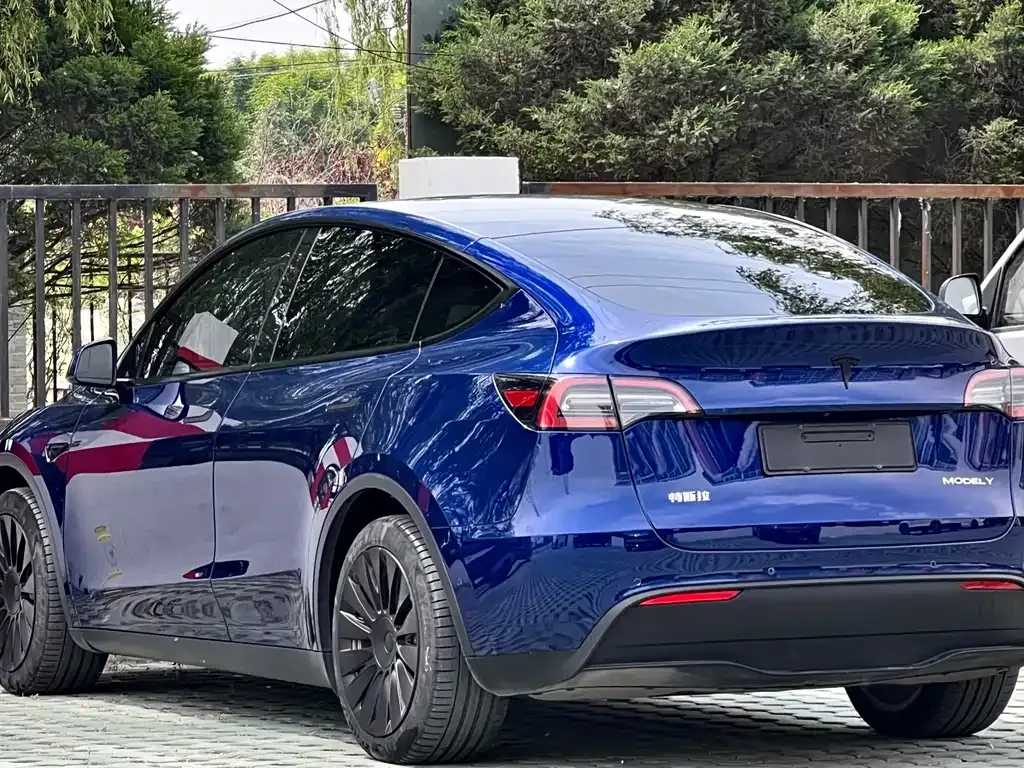 Tesla Model Y — фото 7