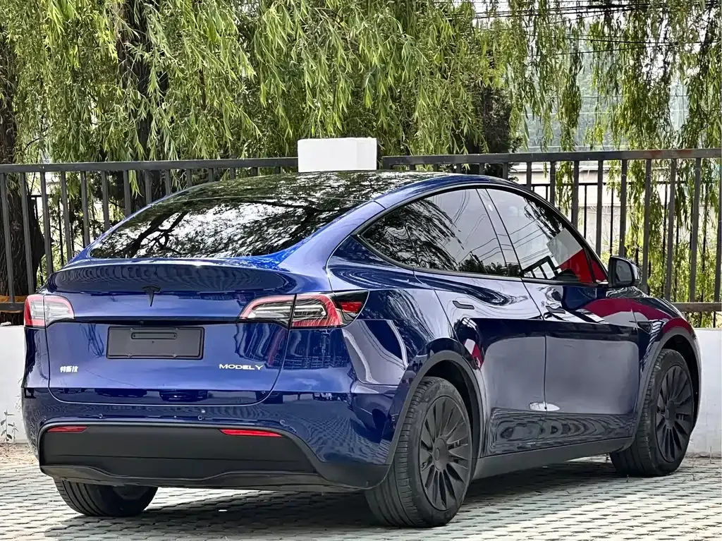 Tesla Model Y — фото 10
