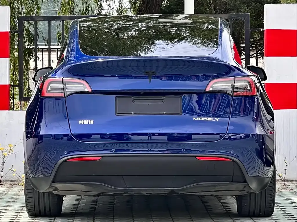 Tesla Model Y — фото 6
