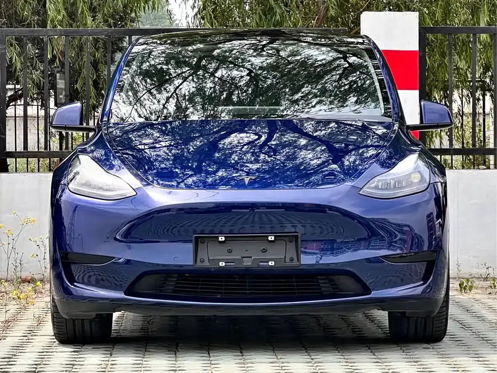 Tesla Model Y — фото 9