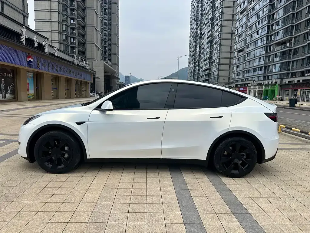 Tesla Model Y — фото 10