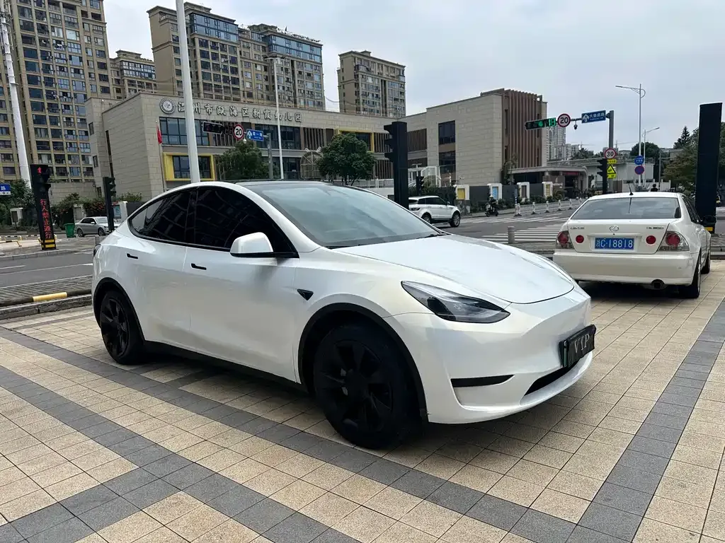 Tesla Model Y — фото 8