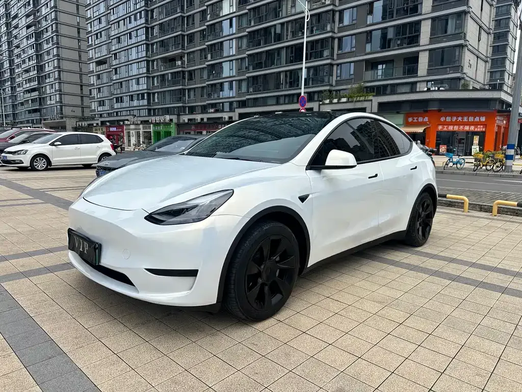Tesla Model Y — фото 9