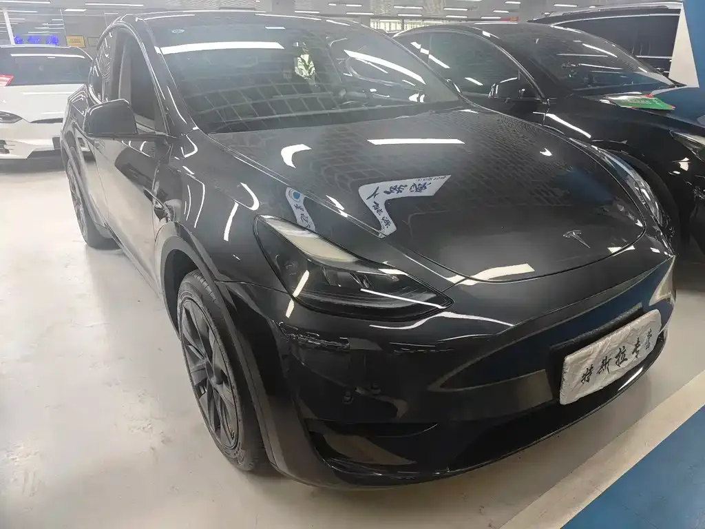 Tesla Model Y — фото 6