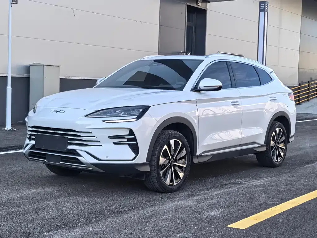 BYD PLUS New Energy — фото 1