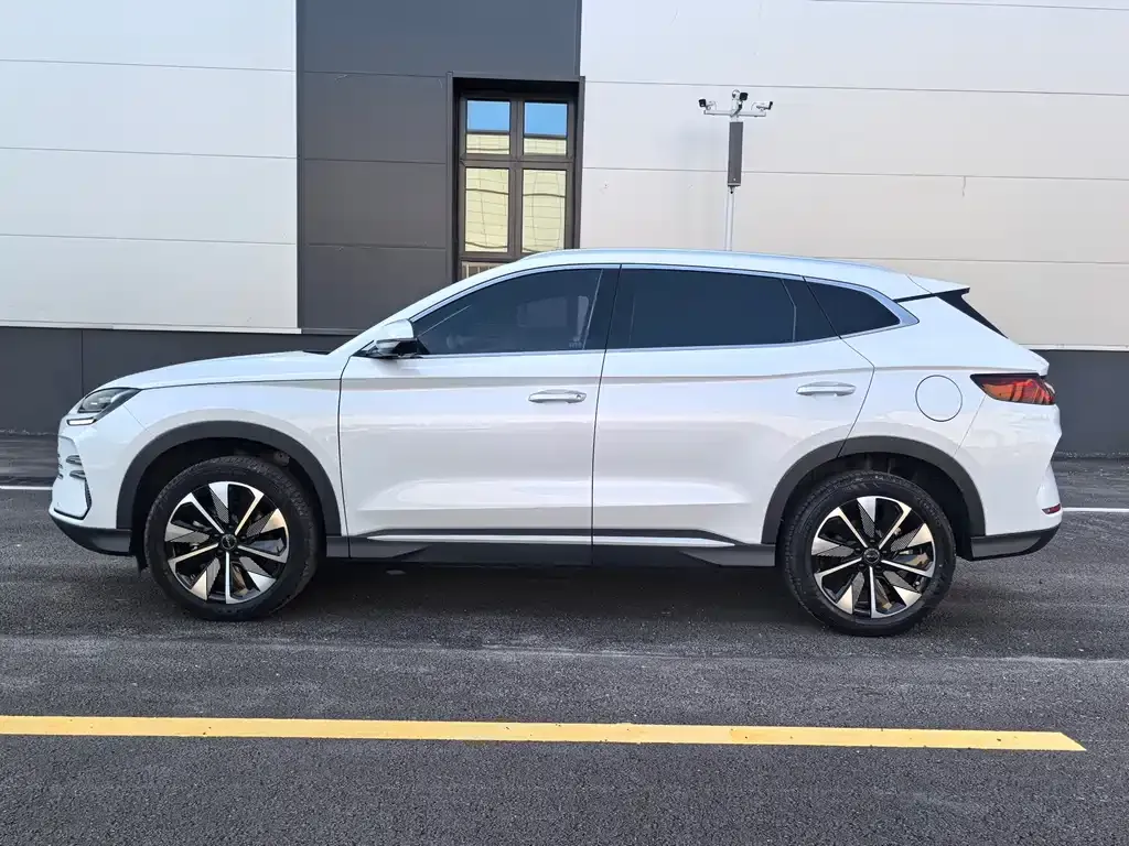 BYD PLUS New Energy — фото 9