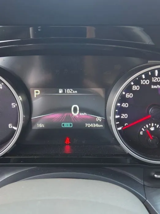 Kia Carnival 2022 из KR, фото 2