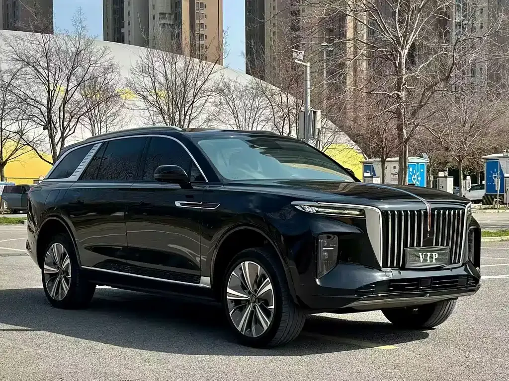Hongqi E-HS9 — фото 9