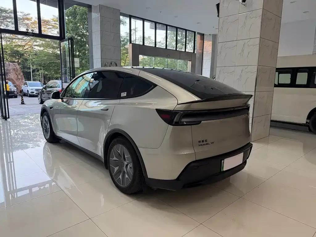 Tesla Model Y L 2025 из CN, фото 5