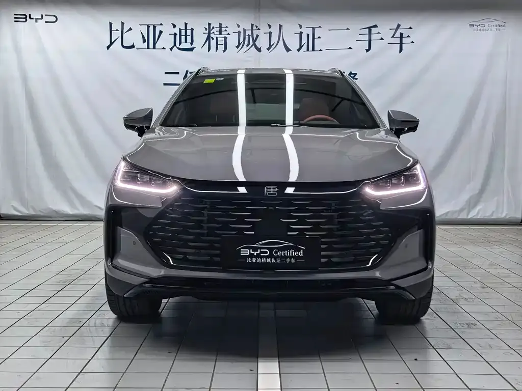 BYD Tang New Energy — фото 9