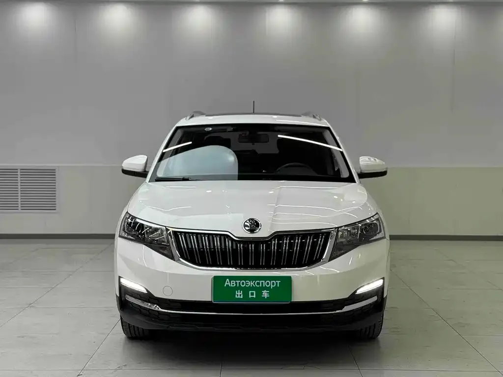 Skoda Kamiq 2021 из CN, фото 5