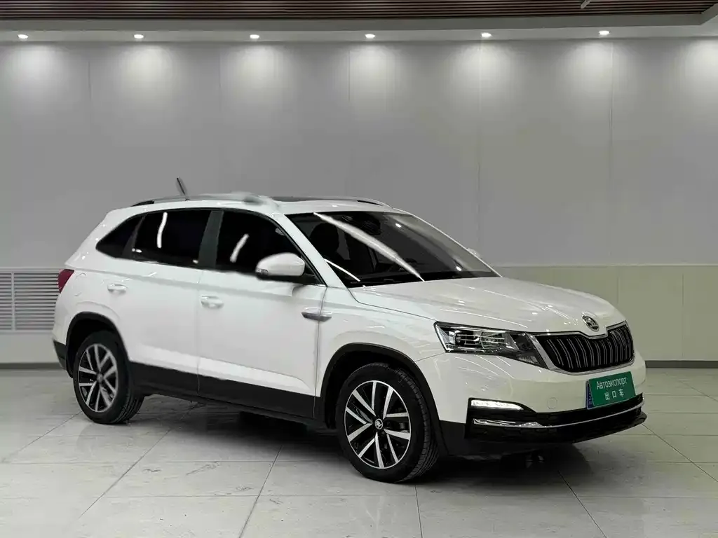 Skoda Kamiq 2021 из CN, фото 3