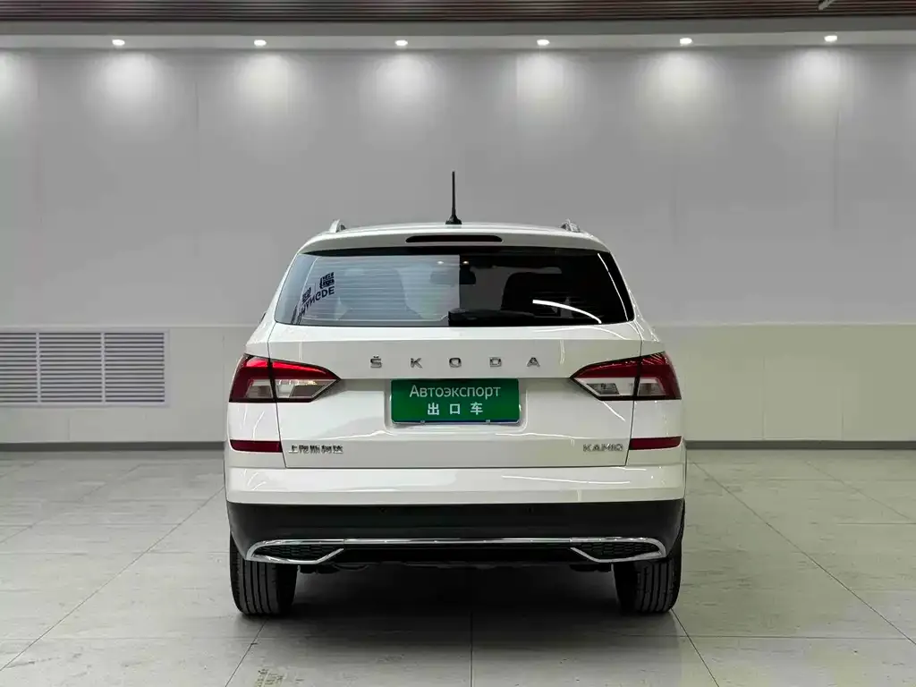 Skoda Kamiq 2021 из CN, фото 4