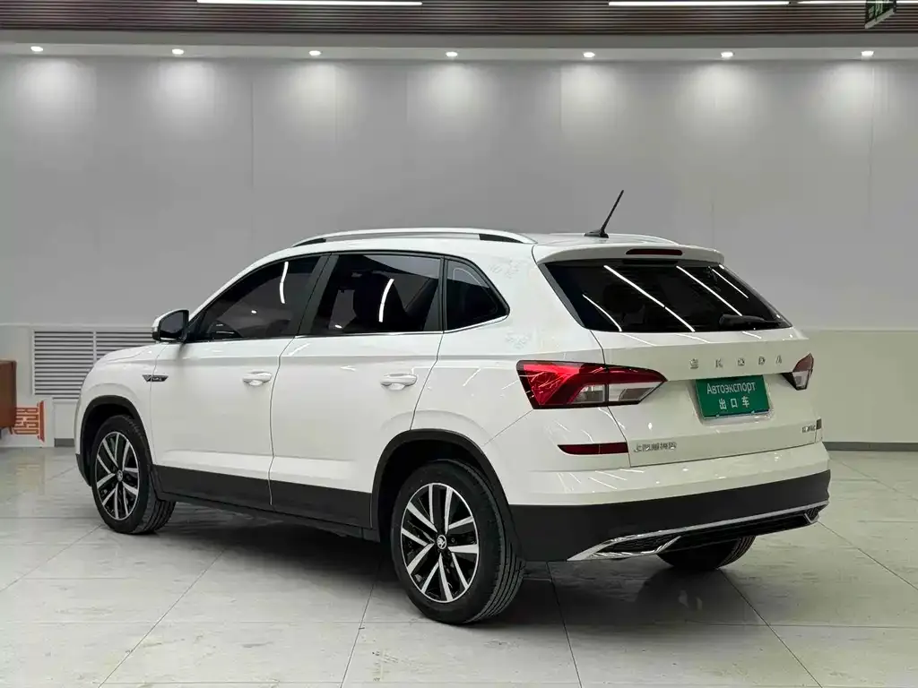 Skoda Kamiq 2021 из CN, фото 6
