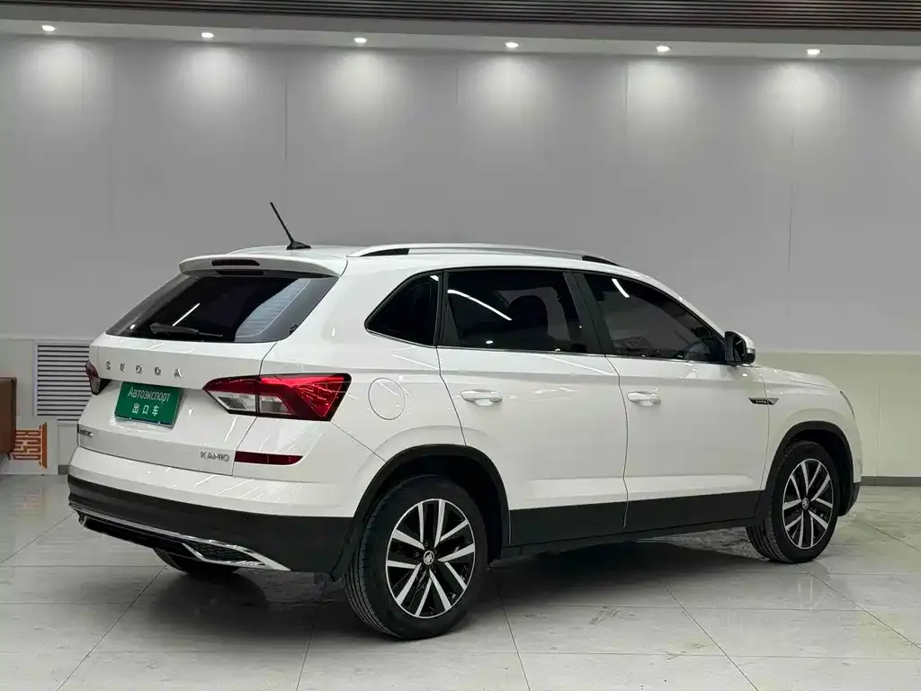 Skoda Kamiq 2021 из CN, фото 2
