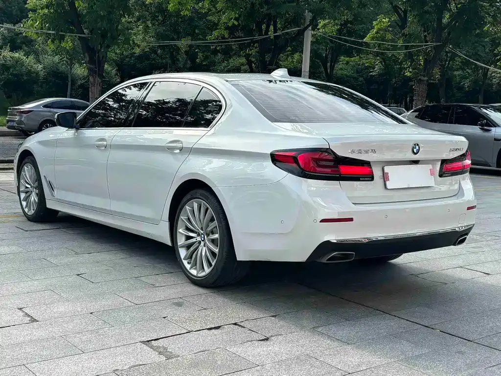 BMW 5 Series 2021 из CN, фото 5