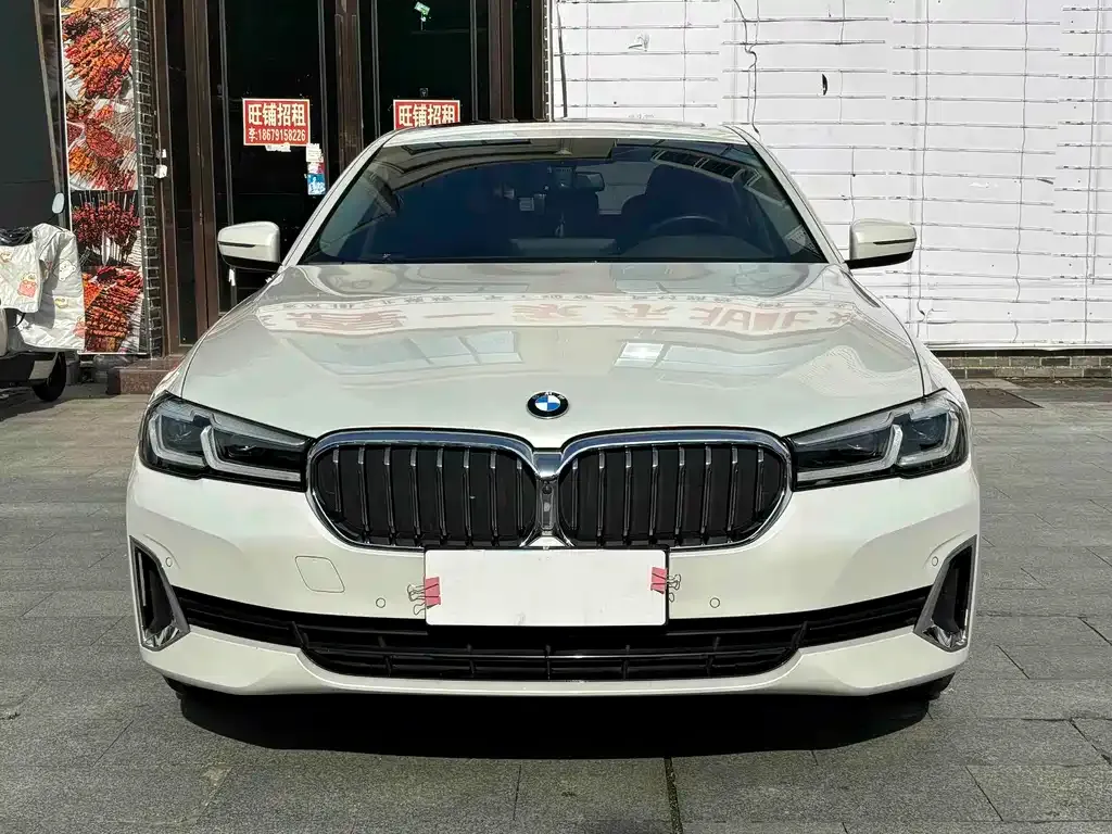 BMW 5 Series 2021 из CN, фото 2