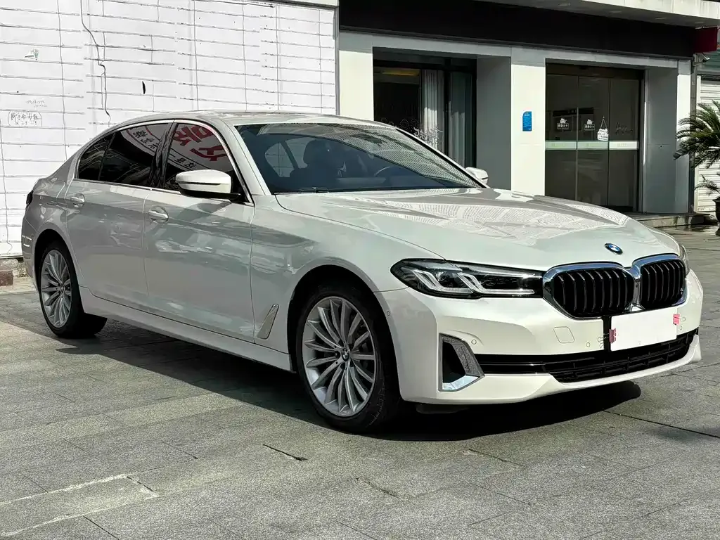 BMW 5 Series 2021 из CN, фото 9