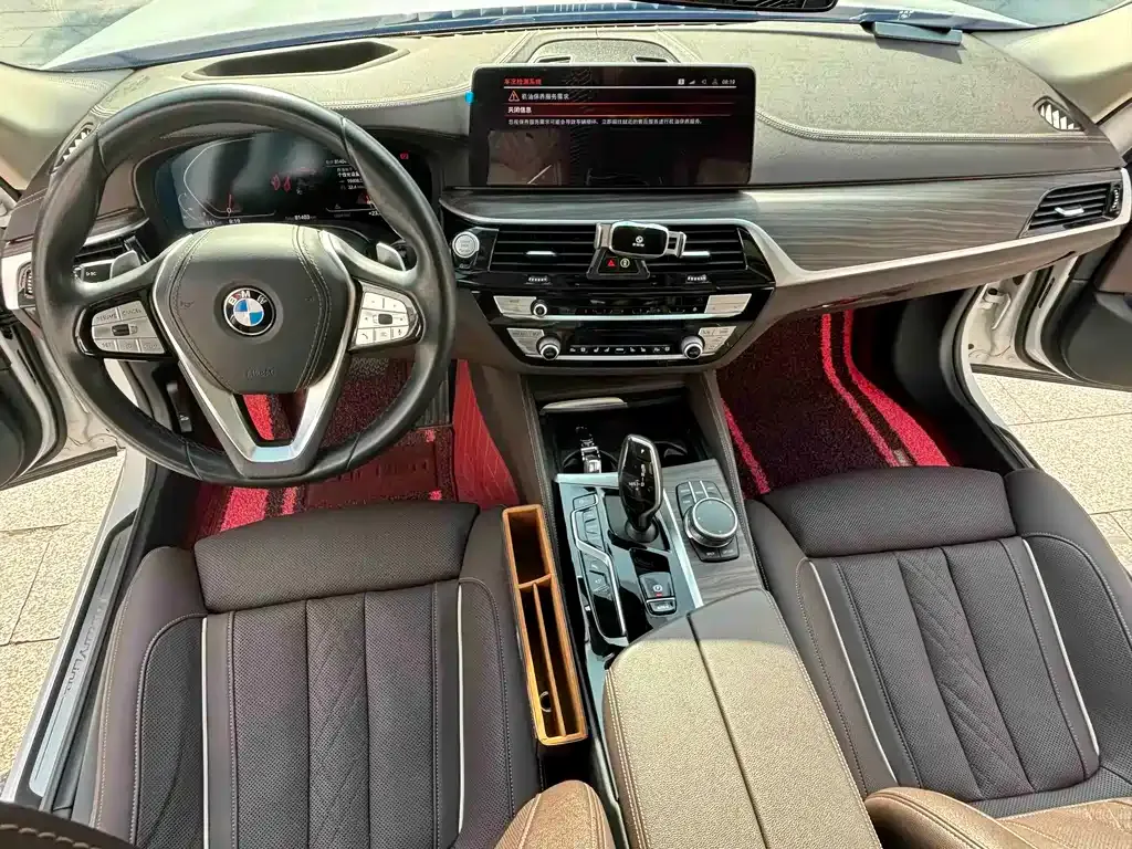 BMW 5 Series 2021 из CN, фото 7