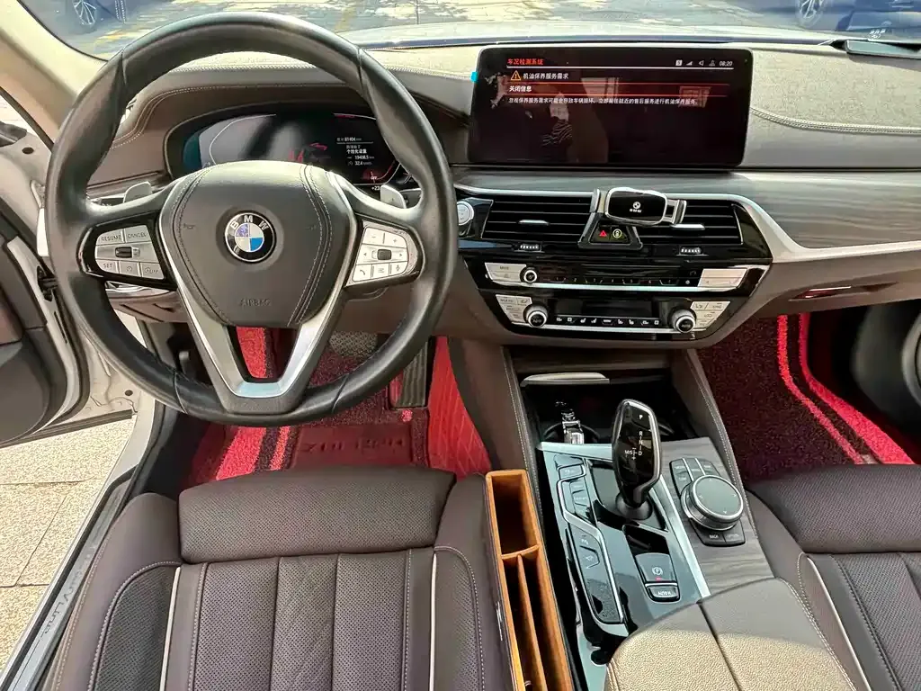 BMW 5 Series 2021 из CN, фото 6