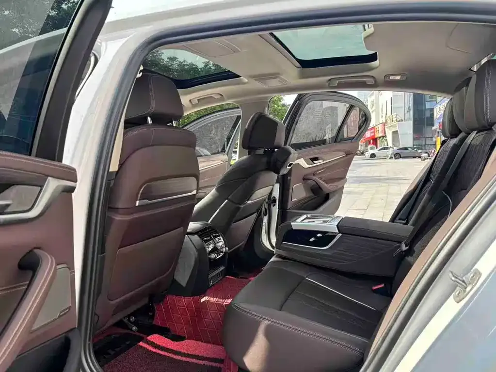 BMW 5 Series 2021 из CN, фото 8