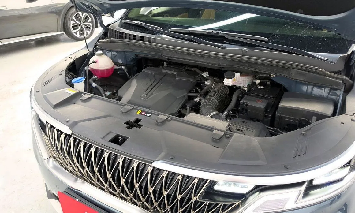 Kia Carnival 2023 из KR, фото 10