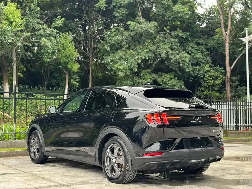 Ford Mustang Mach-E 2022 из CN, фото 9