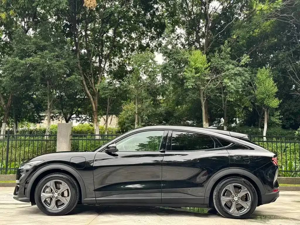 Ford Mustang Mach-E 2022 из CN, фото 6
