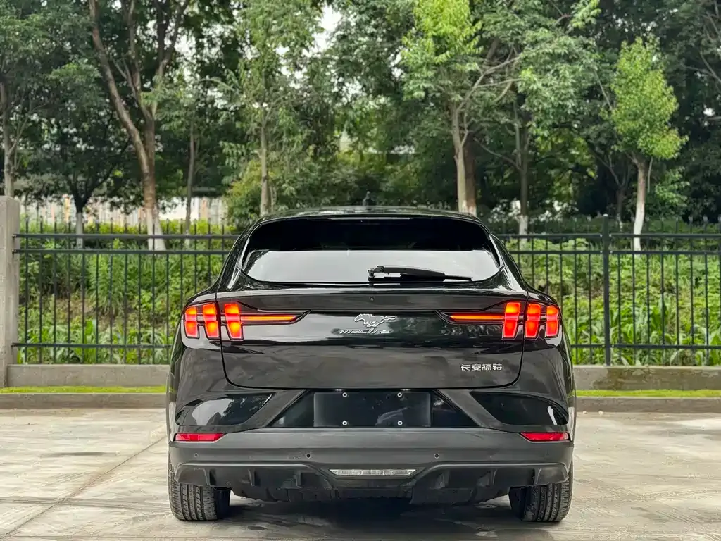 Ford Mustang Mach-E 2022 из CN, фото 8