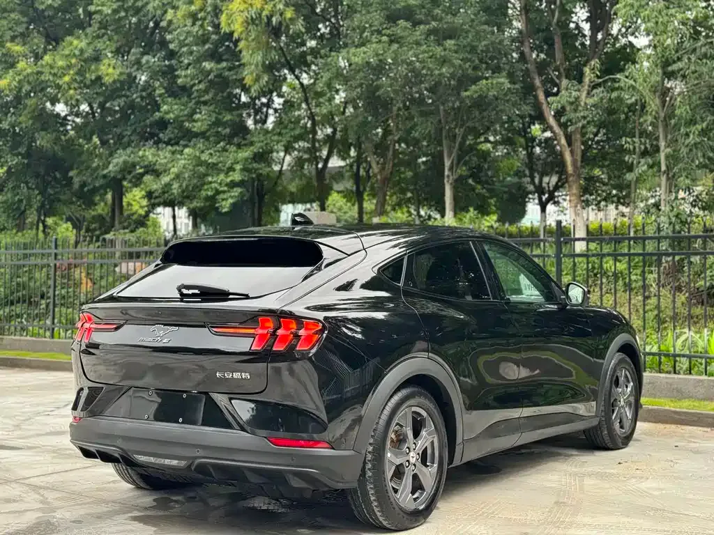 Ford Mustang Mach-E 2022 из CN, фото 3