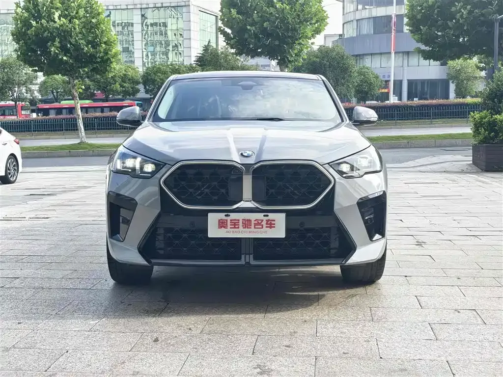 BMW X2 (Import) 2024 из CN, фото 10