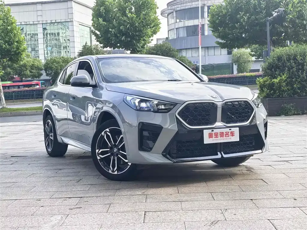 BMW X2 (Import) 2024 из CN, фото 8