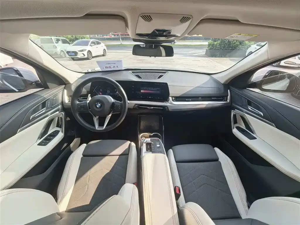BMW X2 (Import) 2024 из CN, фото 4