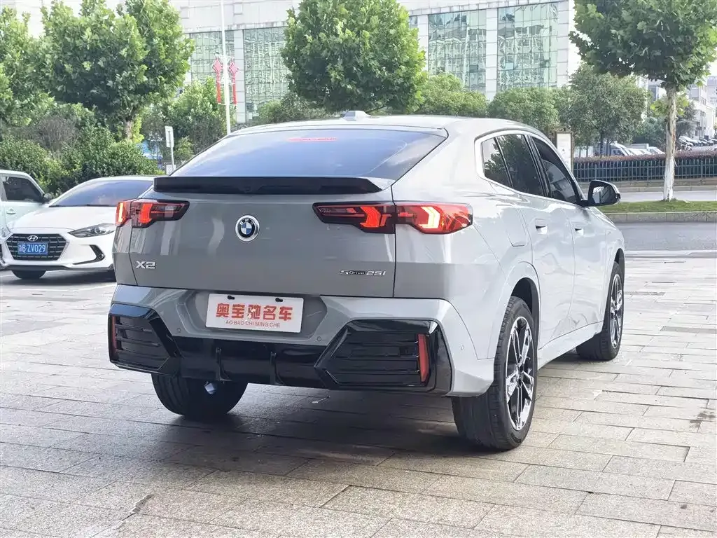 BMW X2 (Import) 2024 из CN, фото 6