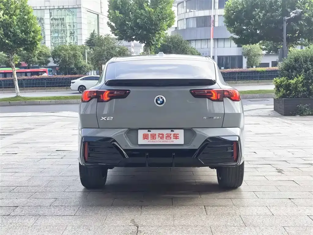 BMW X2 (Import) 2024 из CN, фото 7