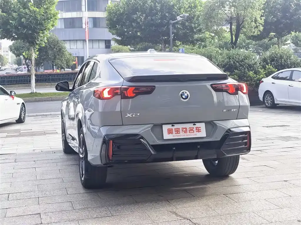 BMW X2 (Import) 2024 из CN, фото 9