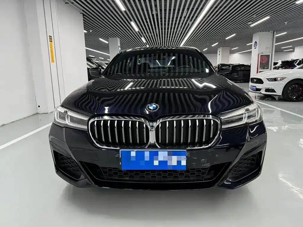 BMW 5 Series 2022 из CN, фото 6