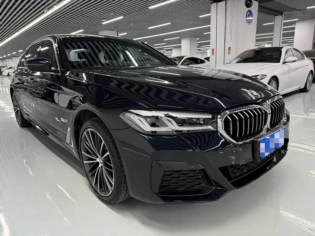 BMW 5 Series 2022 из CN, фото 8