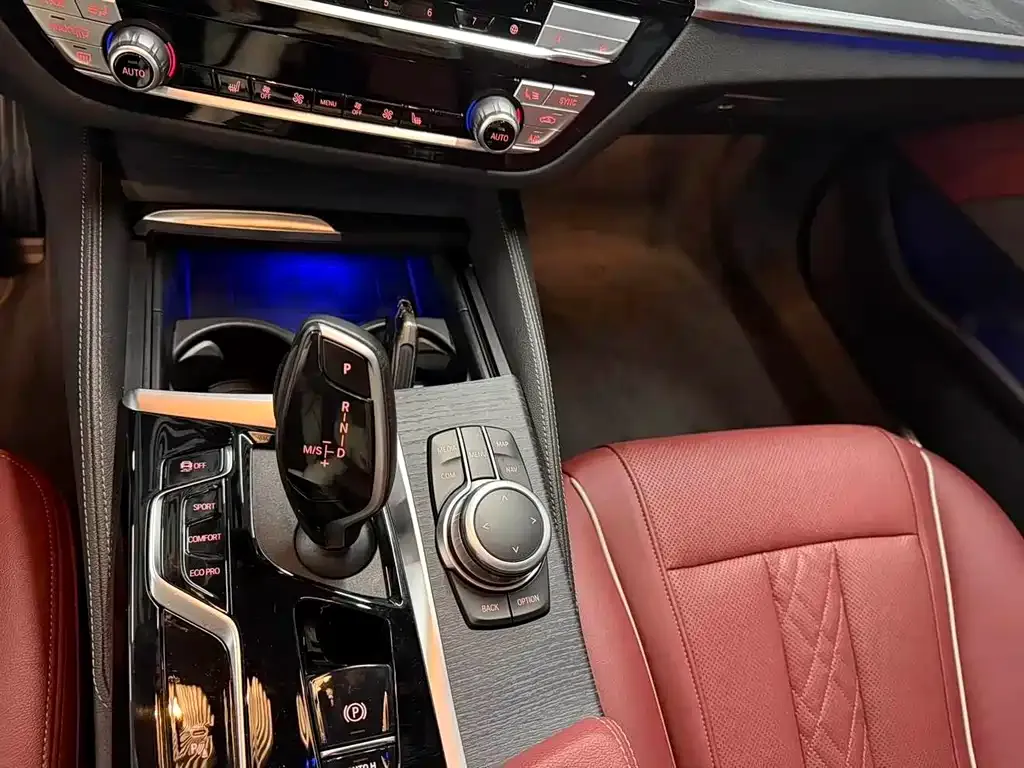 BMW 5 Series 2022 из CN, фото 9