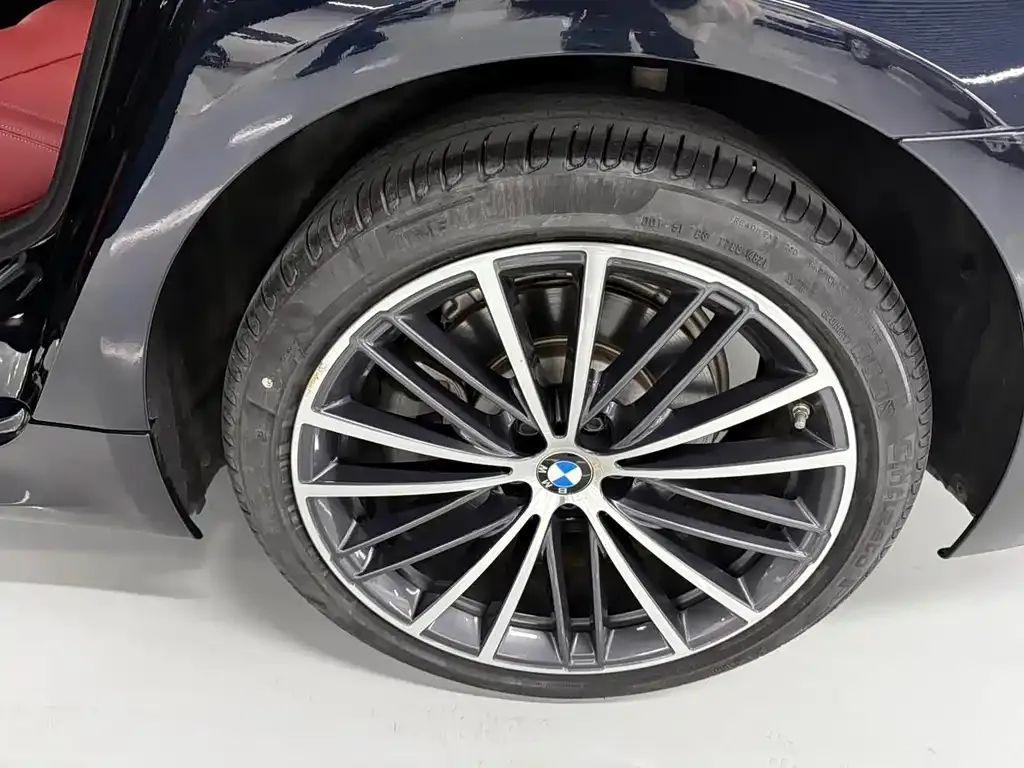 BMW 5 Series 2022 из CN, фото 10