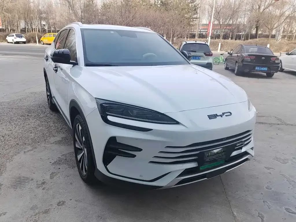 BYD PLUS New Energy — фото 6