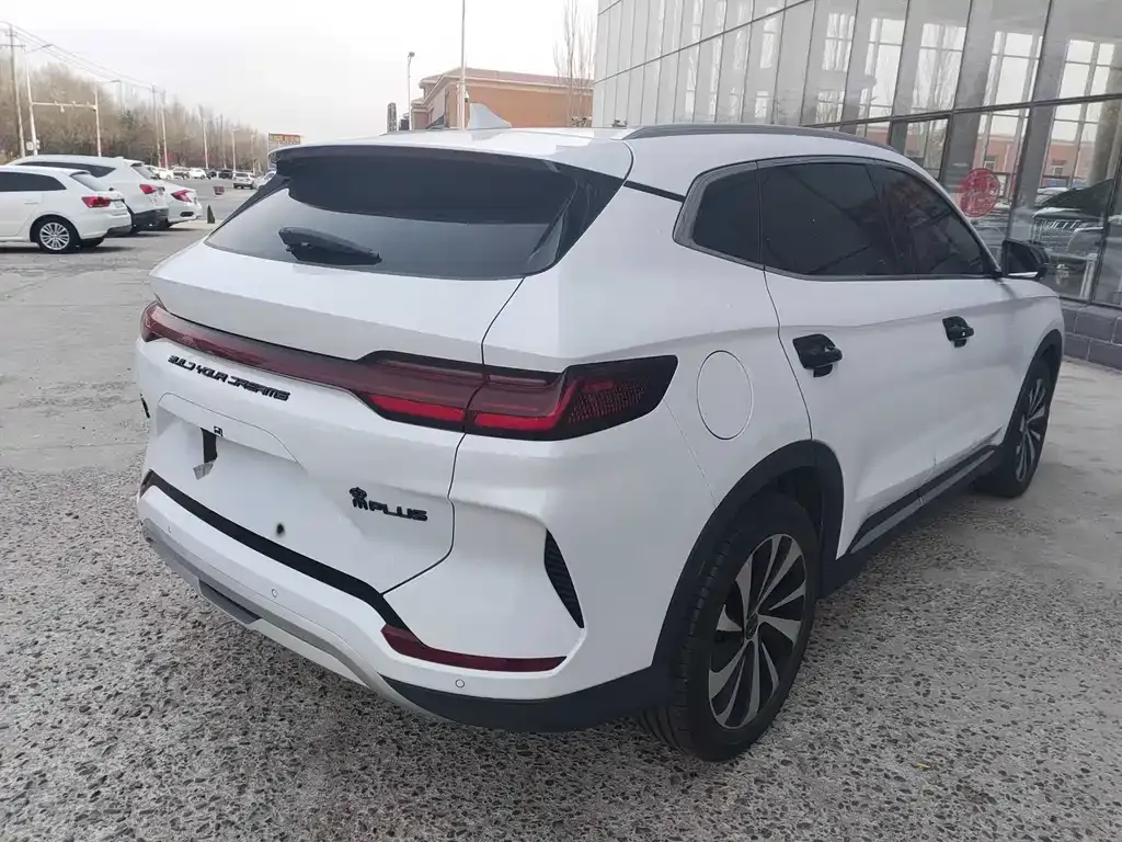 BYD PLUS New Energy — фото 4