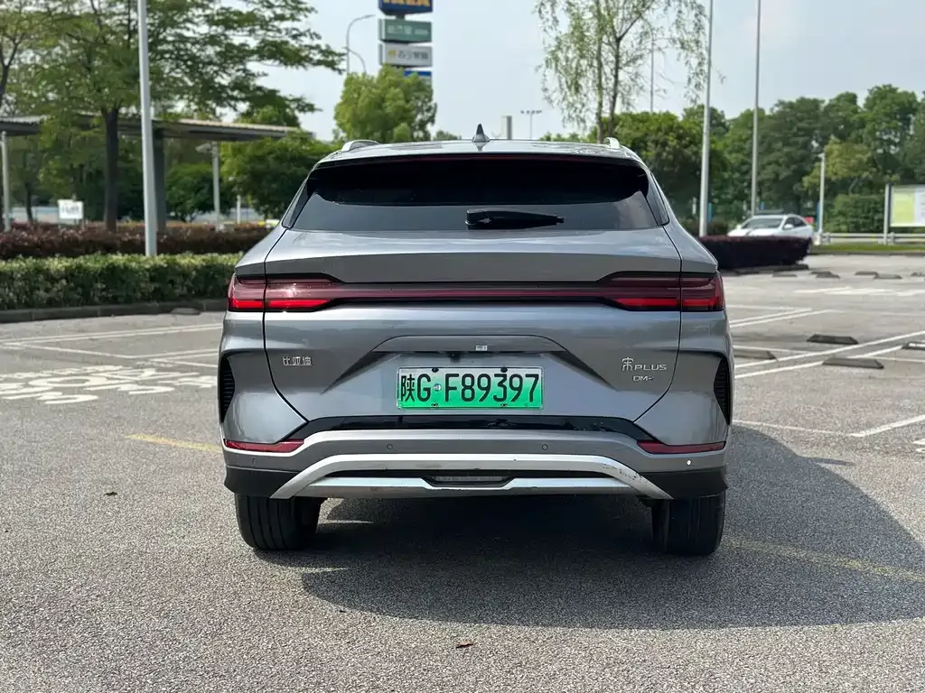 BYD PLUS New Energy 2023 из CN, фото 5