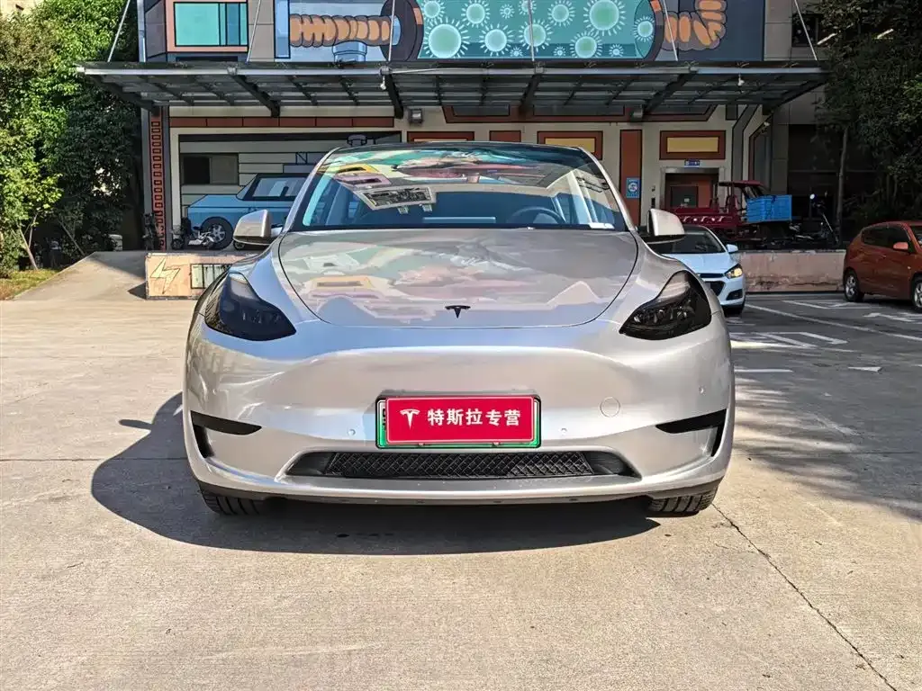 Tesla Model Y — фото 8