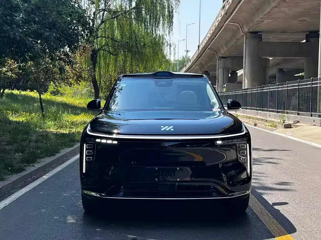 IM LS9