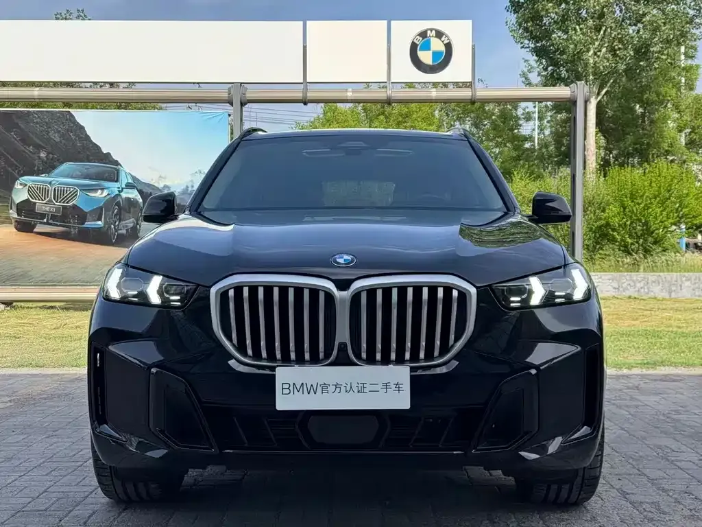 BMW X5 — фото 10