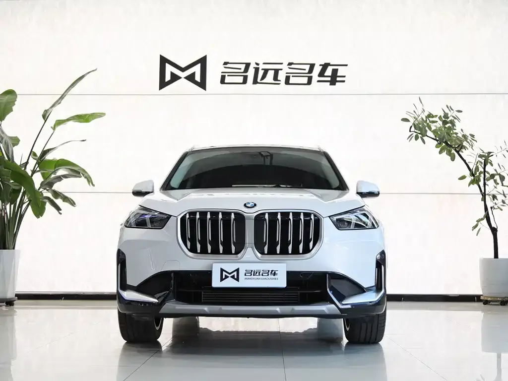 BMW X1 2025 из CN, фото 10