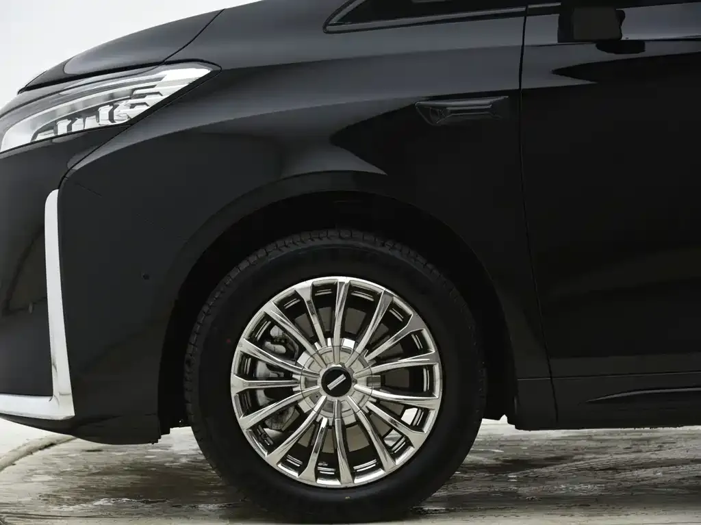 Wey Gaoshan — фото 8