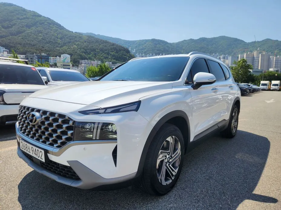 Hyundai Santafe — фото 6
