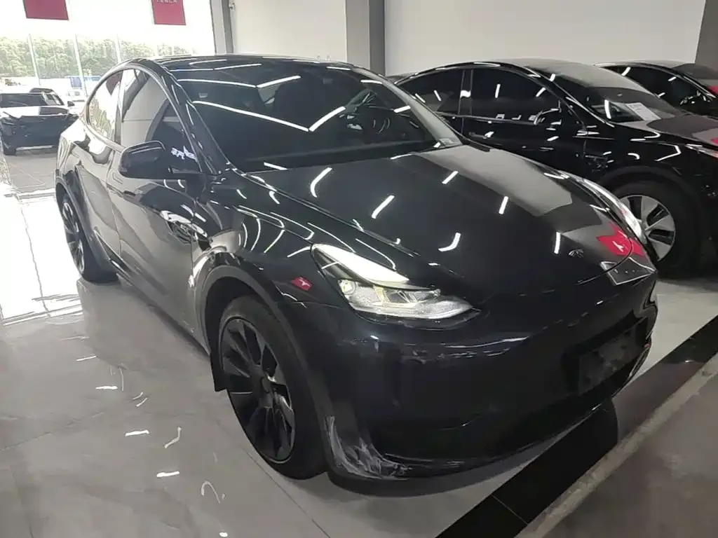 Tesla Model Y — фото 8